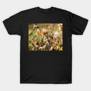 Fall T-Shirt